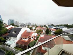 Peak Residence (D11), Condominium #517071251